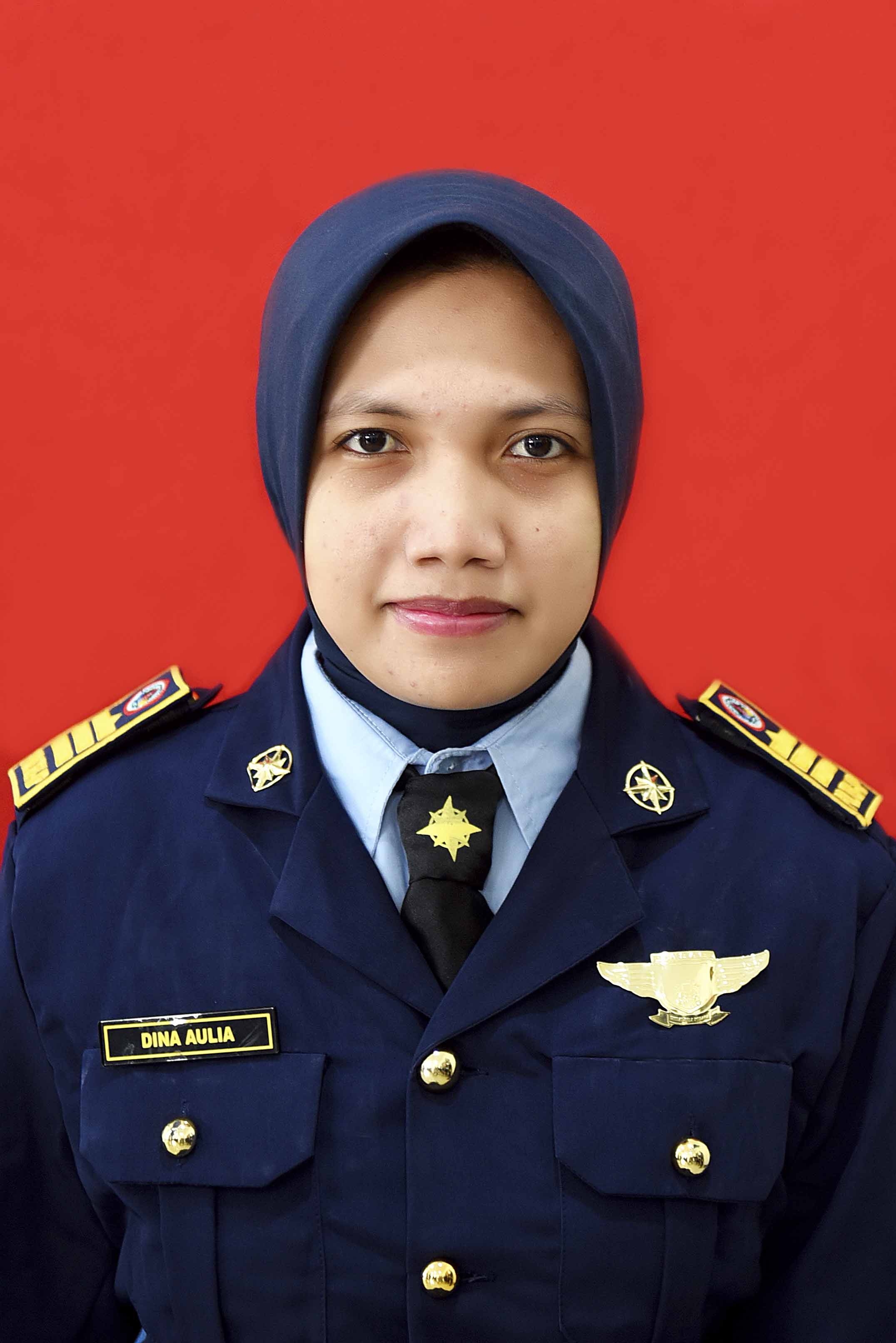 Dina Aulia Safitri